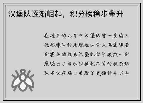 汉堡队逐渐崛起，积分榜稳步攀升